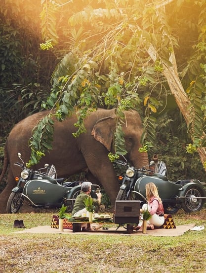 Anantara Golden Triangle Elephant Camp & Resort, Thajsko – Chiang Rai