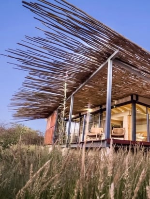 Anderssons Camp Ongava