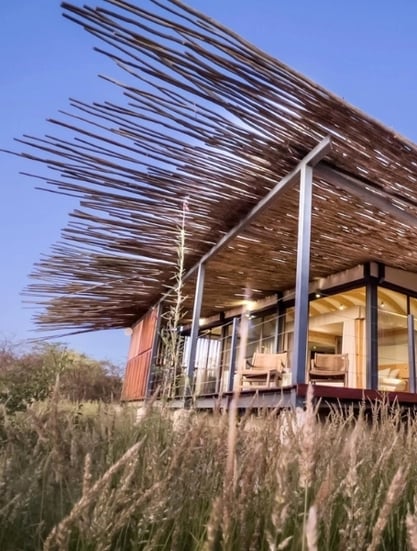 Anderssons Camp Ongava