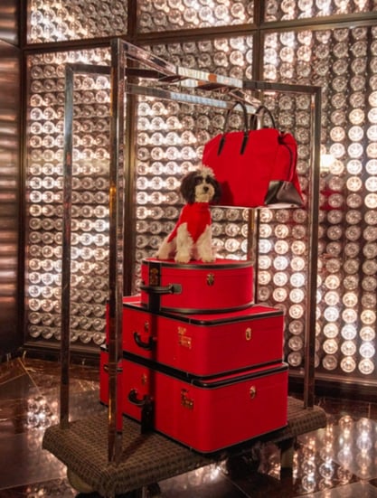 Baccarat Hotel, Spojené státy americké – New York