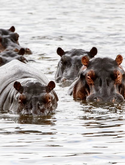 Botswana