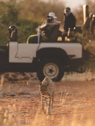 Loapi Tented Camp, JAR – Tswalu Kalahari Reserve