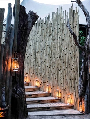 Mombo Camp, Botswana – Masarwa