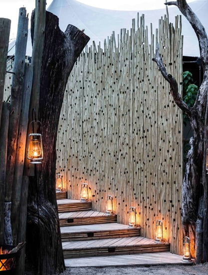 Mombo Camp, Botswana – Masarwa