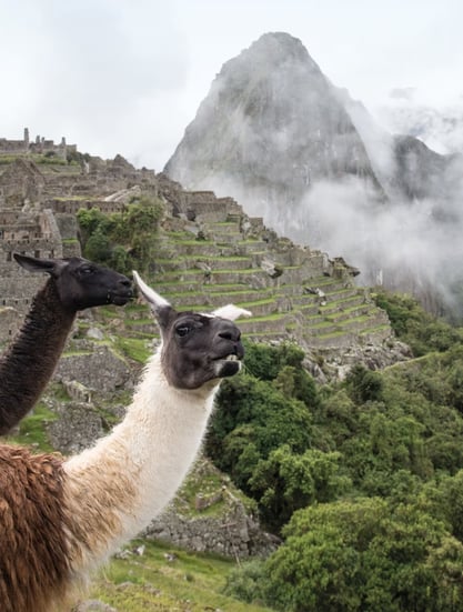 Sanctuary Lodge, A Belmond Hotel, Peru – Machu Picchu