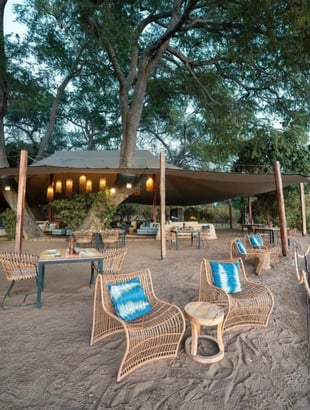 Time + Tide Chongwe Camp