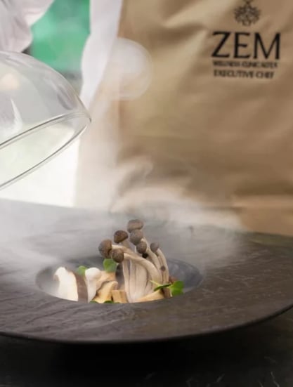 ZEM Wellness Clinic Altea, Španělsko – Alicante