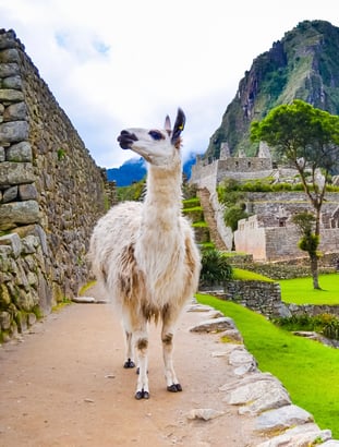 Peru