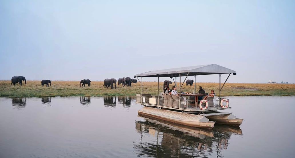 5 1032x554 Chobe Game Lodge| Exclusive Tours Chobe-Game-Lodge-River-Safari_202321-jpg