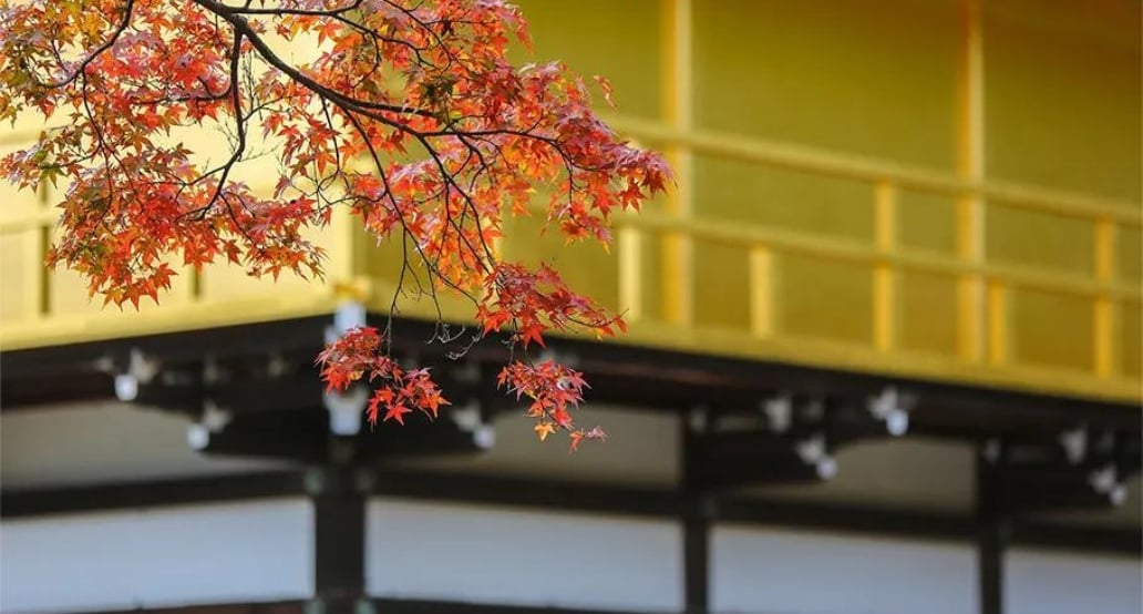 5 14 dní v podzimním Japonsku | Exclusive Tours
