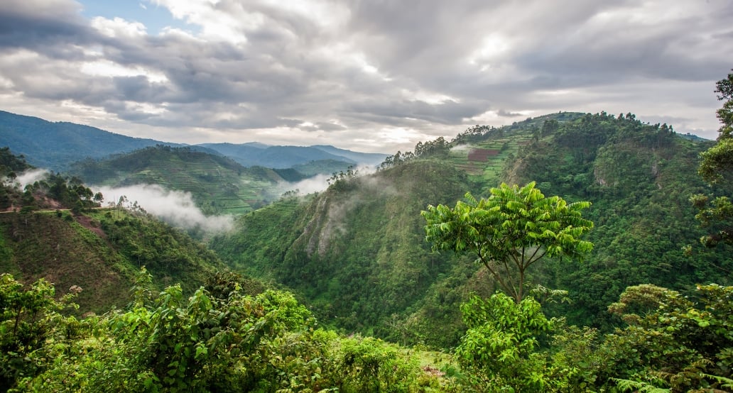 5 Národní park Bwindi-1