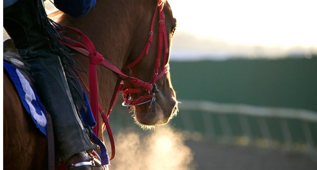 5 Royal Ascot 2025 | Exclusive Tours-1