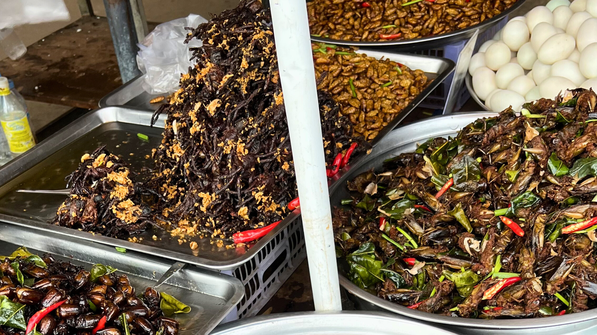 Smažení brouci a tarantule