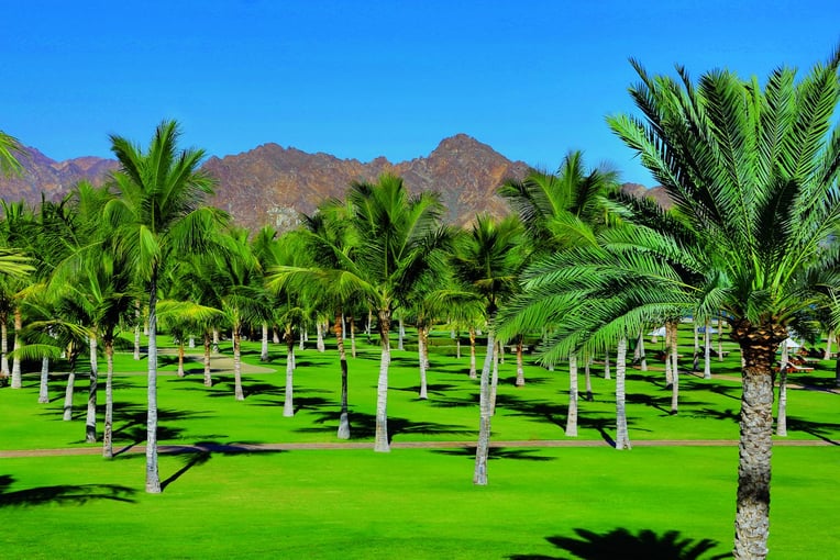 Al Bustan Palace, The Ritz Carlton RCALBUS_00078_conversion-1