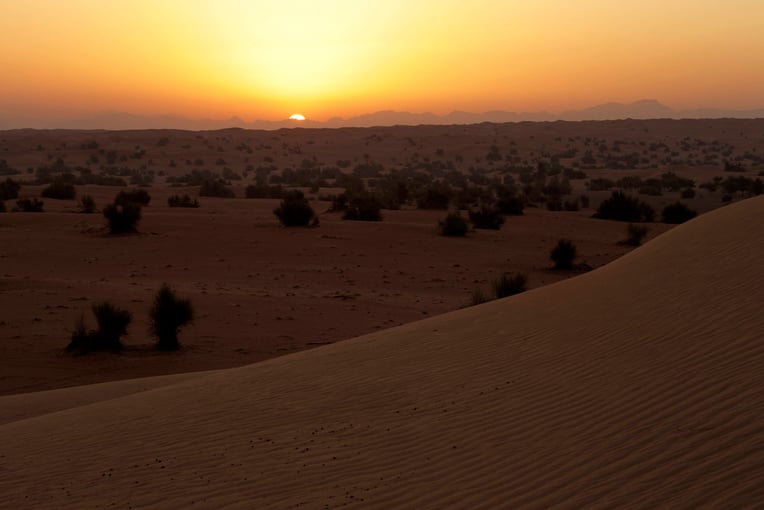 Al Maha Desert Resort dxbam-attraction-desert-5382-hor-clsc
