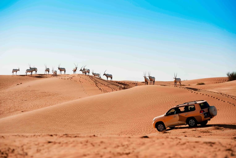 Al Maha Desert Resort dxbam-attraction-drive-9692-hor-clsc