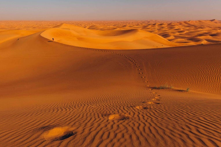 Al Maha Desert Resort dxbam-attraction-local-8135-hor-clsc