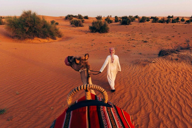 Al Maha Desert Resort dxbam-local-area-8133-hor-clsc