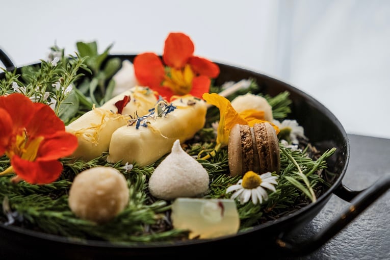 Alpin Resort Sacher | Exclusive Tours DSCF8495Sacher_Seefeldpng-1920x1196