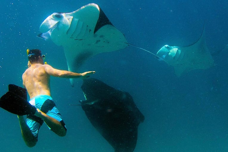 Anantara Dhigu Maldives Resort anantara_dhigu_maldives_snorkelling_with_manta_rays_1920x1037