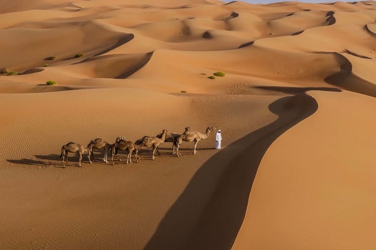 Anantara Qasr al Sarab qasr_al_sarab_desert_resort_by_anantara_recreation_activities_camel_riding