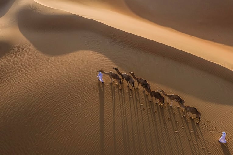 Anantara Qasr al Sarab qasr_al_sarab_desert_resort_by_anantara_recreation_activities_camel_riding_top_shot