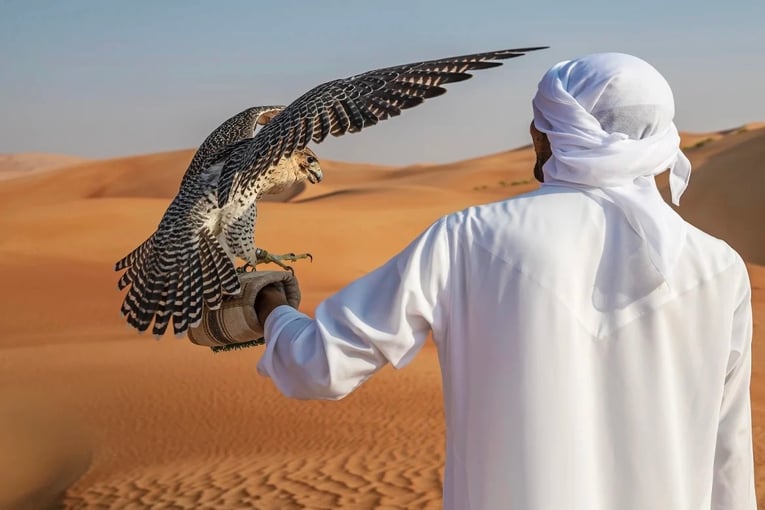 Anantara Qasr al Sarab qasr_al_sarab_desert_resort_by_anantara_recreation_activities_falcon_show_falconer