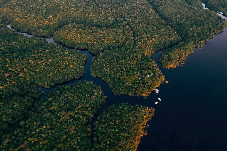Anavilhanas Jungle Lodge, Brazílie – Amazonie 65578ecace7b82dc9f8cabcb_hotel-anavilhanas-fotografos-drone-alta-resolucao-felipe-castellari