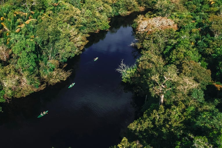 Anavilhanas Jungle Lodge, Brazílie – Amazonie 656f57da8da0383c50a5f68f_hotel-anavilhanas-o-essencial-da-floresta