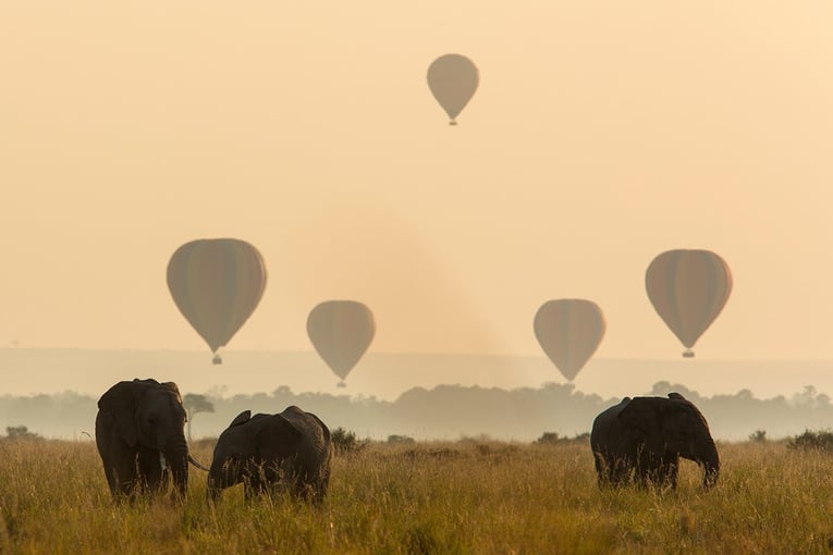 Angama Mara, Keňa – Masai Mara ABW_20_07_18_Elephants-and-balloons-1_yzdi0n-1-1