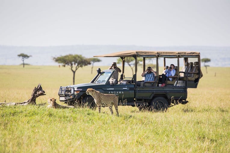 Angama Mara, Keňa – Masai Mara Angama-vehicle-and-cheetah-1_lhdtzc-1