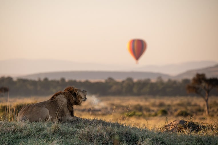 Angama Mara, Keňa – Masai Mara EA-5049-1