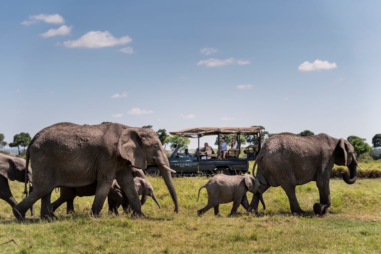 Angama Mara, Keňa – Masai Mara PB__DSC2797_FAMILY_KIDS_LR-1