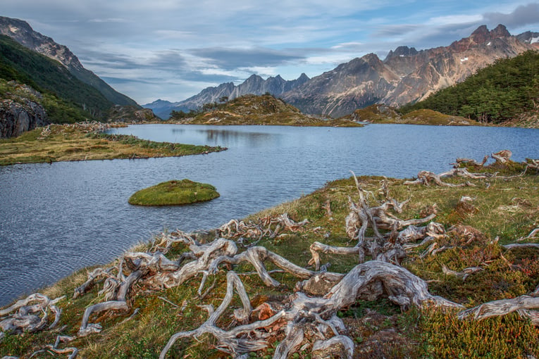 Argentina shutterstock_1254466321