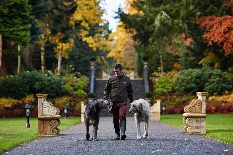 Ashford Castle 