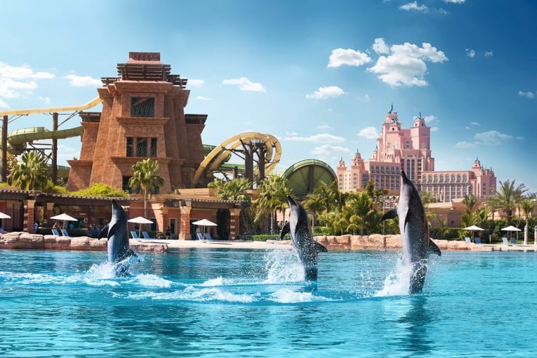 Atlantis The Palm marine_and_waterpark_dolphin_bay_24_09_2014_550hr