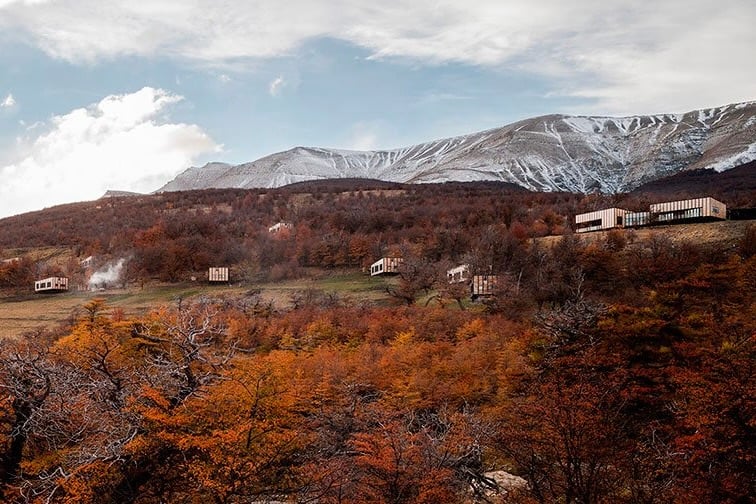 Awasi Patagonia – Relais & Chateaux bird_background-1