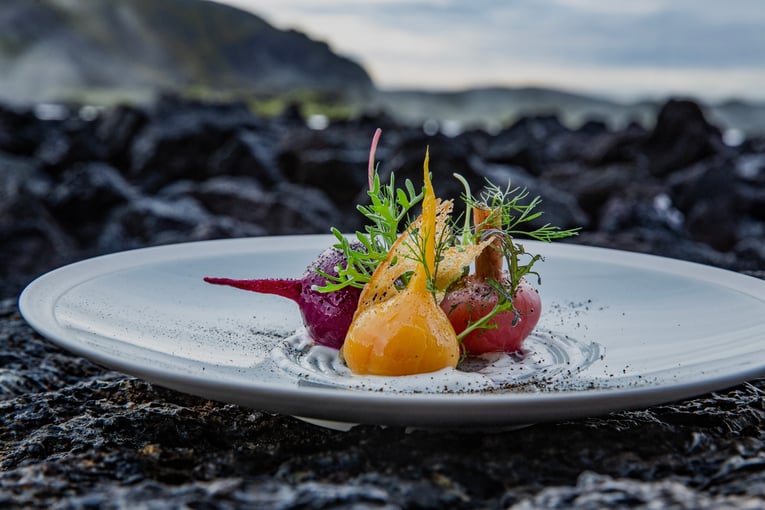 BLUE LAGOON, Island – Grindavík MOSS_diskar_2827