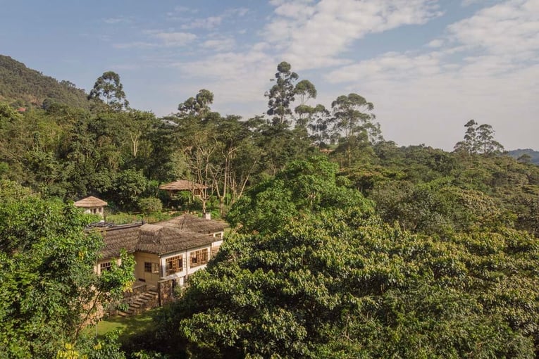 Bwindi Lodge, Uganda – Bwindi | Exclusive Tours 2-Bwindi-Lodge-DJI_0771