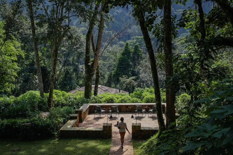 Bwindi Lodge, Uganda – Bwindi | Exclusive Tours volcanoes-safaris-bwindi-lodge-tea-garden-platform