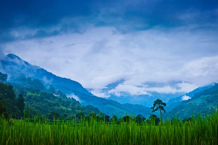 COMO Uma Punakha, Bhután – Paro | Exclusive Tours mm858_Como_Punakha-0848_FINAL