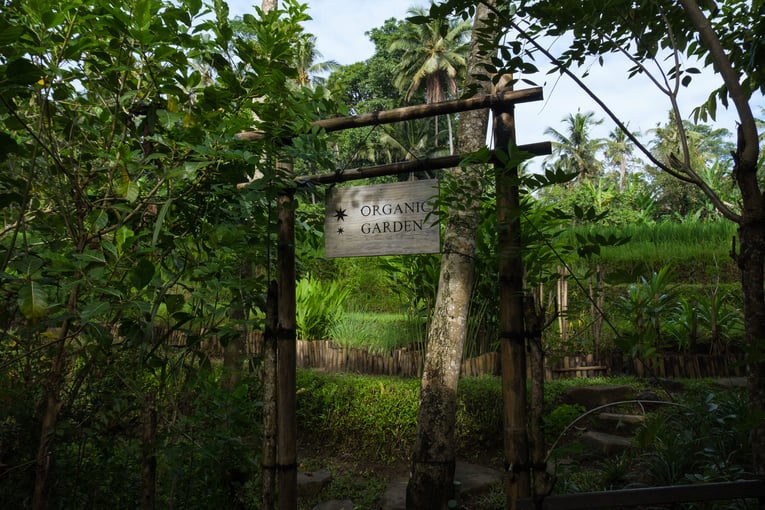 Capella Ubud, Bali capella_ubud_bali_organic_garden