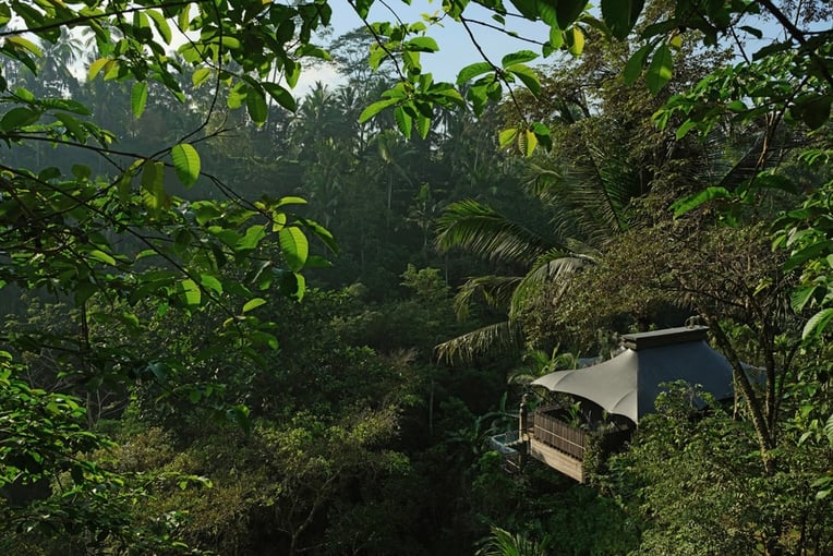 Capella Ubud, Bali ubud-accommodation-tent-river-exterior