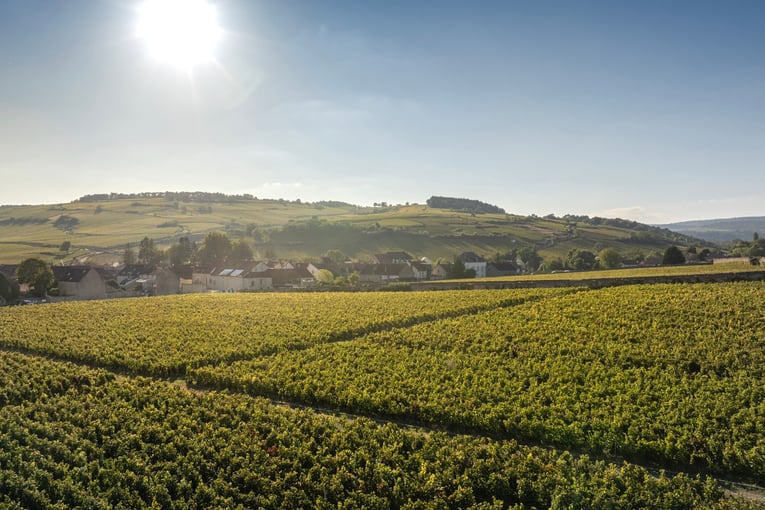 Château de la Commaraine, Francie – Burgundsko | Exclusive Tours Burgundy vineyards - Aerial views (2)