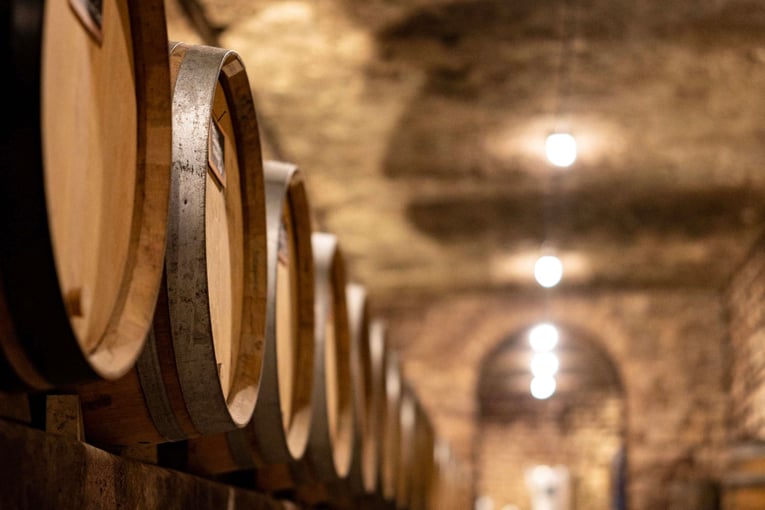 Château de la Commaraine, Francie – Burgundsko | Exclusive Tours Château de la Commaraine, Francie – Burgundsko | Exclusive Tours 1572453