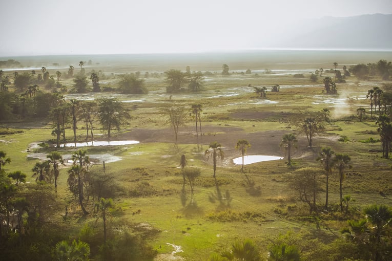 Chem Chem 63495747c486e296b7edba67_Chem-Chem-Safari-Tanzania-East-Africa-Landscape-Wilderness-Waterhole-Palm-Trees-Sunset