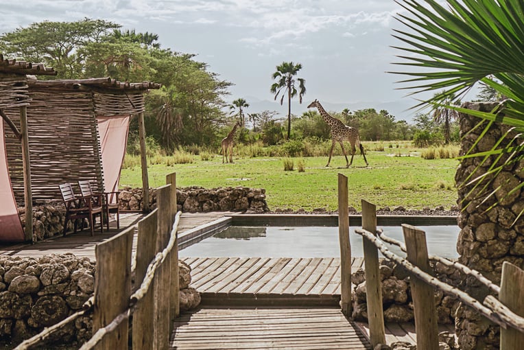 Chem Chem 64008c5b60e14024c6609615_Chem-Chem-Lodge-Safari-Tanzania-Accommodation-Luxury-Pool-Area-Giraffe