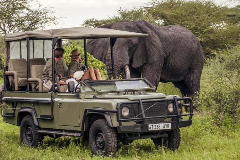 Chem Chem 6400e0736f494a721b329357_Little-Chem-Chem-Safari-Tanzania-Elephant-Encounter-Game-Drive-Vehicle