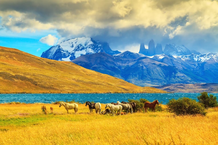 Chile shutterstock_296005040