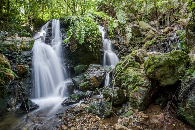 Dovolená v Ugandě – zážitky na míru | Exclusive Toursshutterstock_418420600